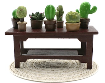 Miniatur Zimmertopf Pflanze mit Kaktus - Etsy.de