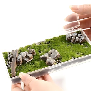 Può includere: Un contenitore di plastica trasparente con un coperchio, riempito di muschio verde e pietre in miniatura, oltre a un piccolo ramo di legno. Il contenitore è perfetto per creare paesaggi in miniatura o terrariums.