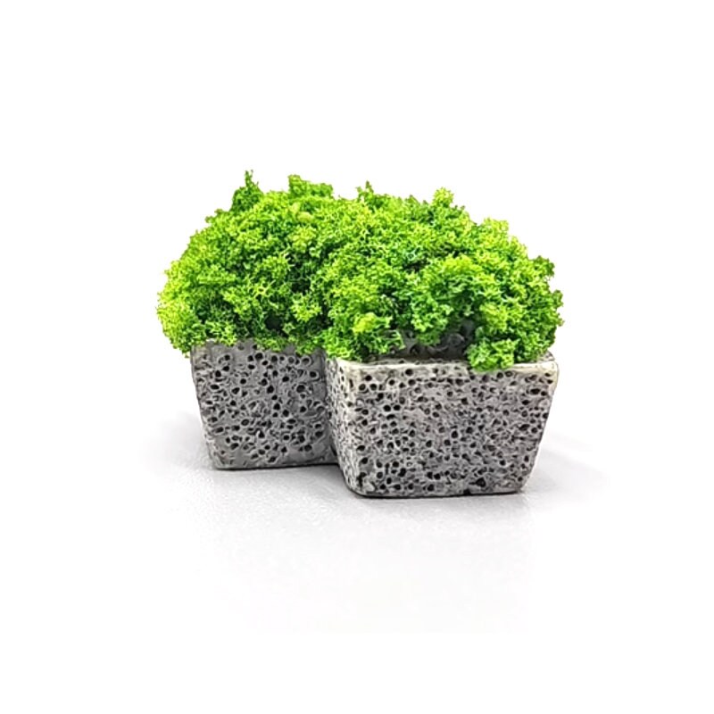 Image showcasing Miniature Planters for Micro Landscapes and Dollhouses - Etsy