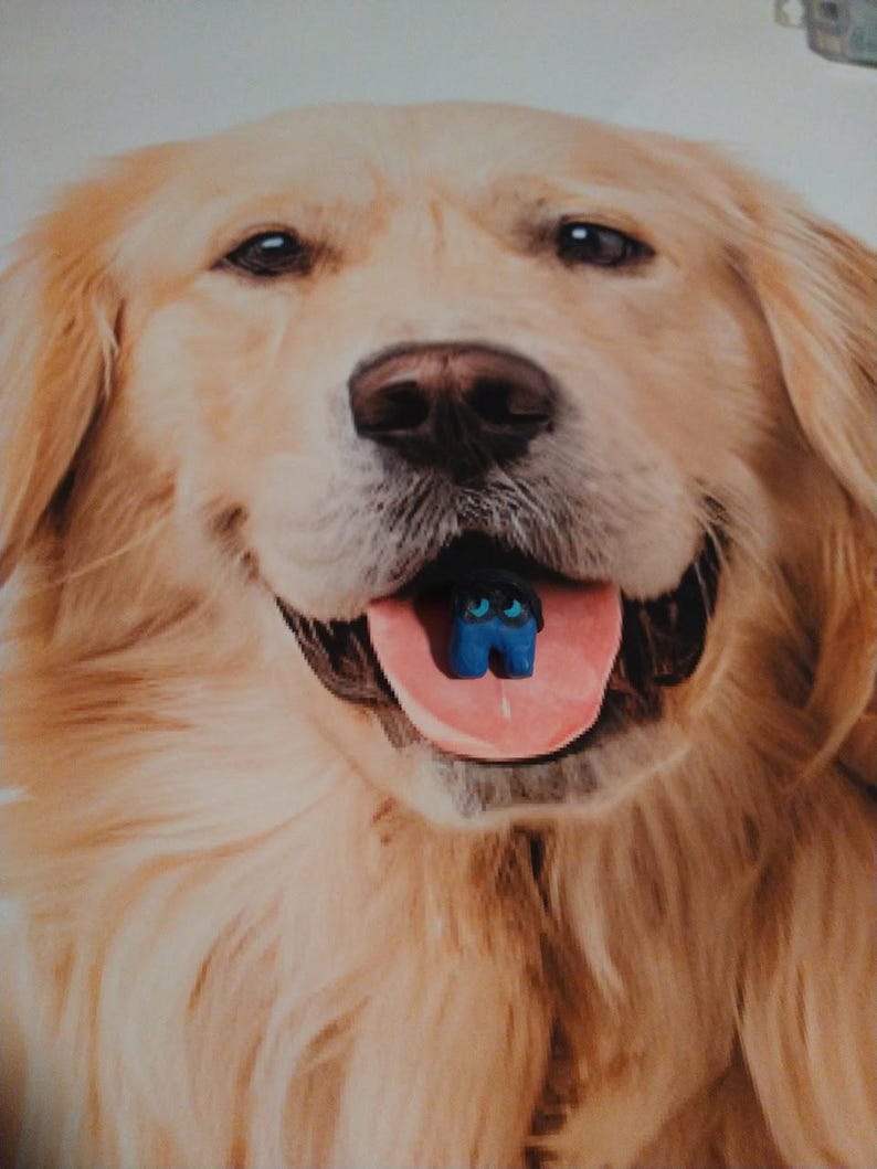 Puede incluir: Un golden retriever sonriente con una figura azul en la boca. La lengua del perro es rosa. La figura es un personaje del juego Among Us.
