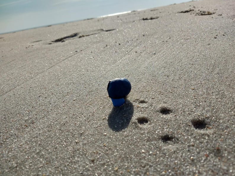 Puede incluir: Un objeto azul oscuro, posiblemente un tap&oacute;n de botella, descansa sobre una playa arenosa. La sombra del objeto es visible en la arena, con huellas en el fondo. La escena est&aacute; iluminada por la luz del sol.