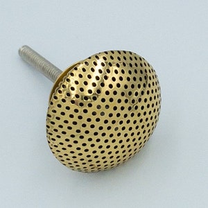 May include: A gold-toned metal cabinet knob with a round, perforated face and a screw.