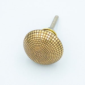 May include: A gold-toned cabinet knob with a round, textured surface. The knob has a small, silver screw.