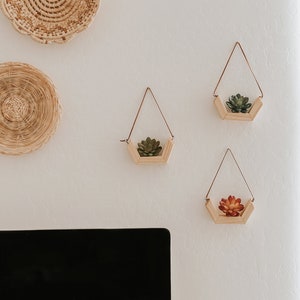 Home Office - Office Decor - Shelf - Wall Shelf - Hanging Planter - Plant Hanger - Indoor Plant Hanger - Succulent - Hanging Plant - Planter