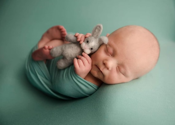 newborn bunny