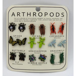 May include: A set of twelve insect and arachnid-shaped stud earrings displayed on a card labeled ARTHROPODS. The collection includes spiders with pearls, cicadas, cockroaches, butterflies, grasshoppers, dragonflies, flies, beetles, and millipedes.