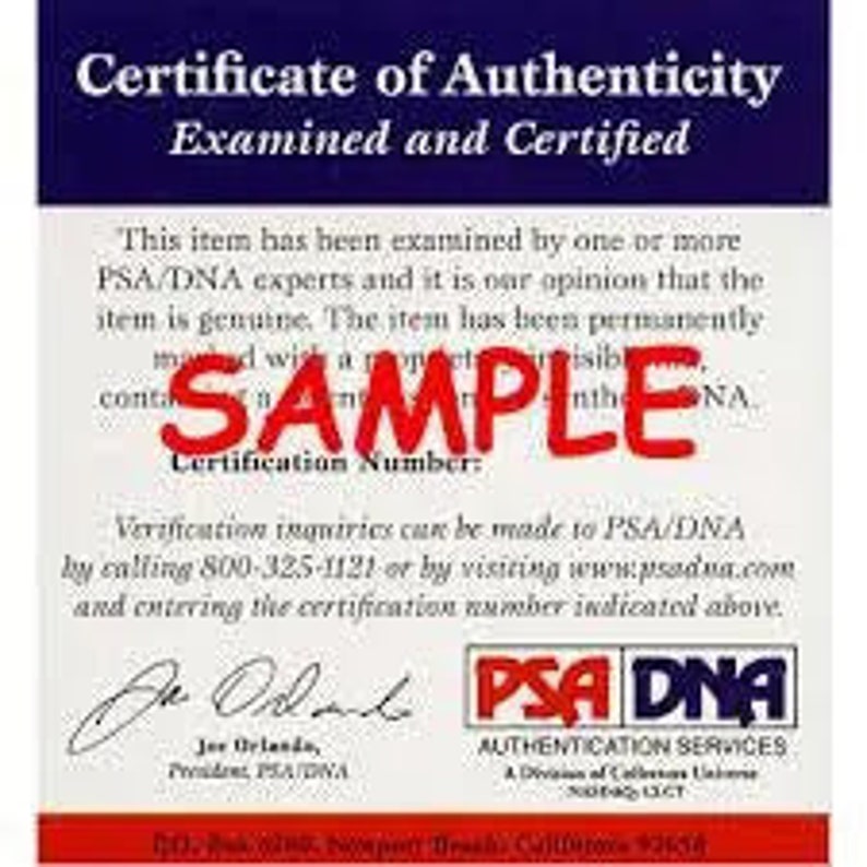 Rainn Wilson Signed the Office Dwight Schrute Bobble Head PSA/DNA ITP ...