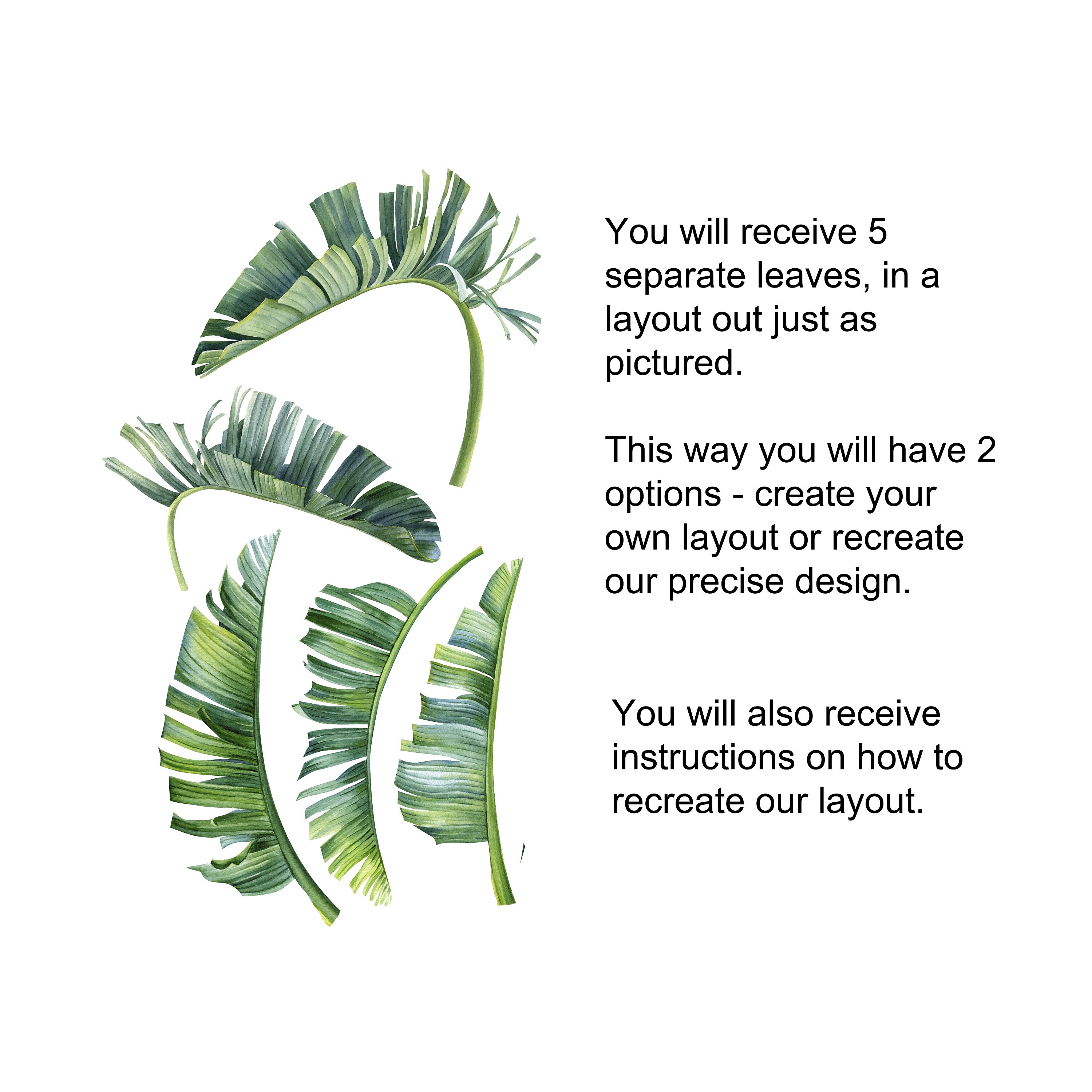 Banana Leaves Decal Tropical Wall Decal Greenery Sticker Décor