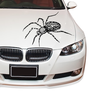 Spider Car Hood Decal, Car Truck Vinyl Decal ,Premium Vinyl Removable Sticker