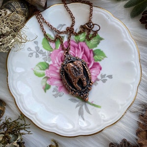 Aura Quartz Tooth Necklace, Crystal Tooth Pendant, Oddities, Curiosities, Macabre Jewelry, Molar Tooth Jewelry