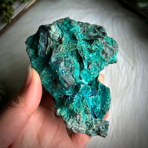 May include: A vibrant, raw chrysocolla specimen. The stone displays a mix of teal, turquoise, and deep green hues, with a rough, textured surface. The mineral is held in a hand, showcasing its natural, unpolished form. The chrysocolla has a unique, organic shape.