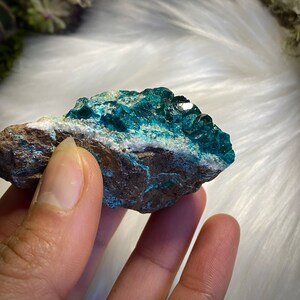 Dioptase with Chrysocolla on Matrix, Natural Dioptase Mineral Specimen, Natural Crystal, Dioptase from Congo
