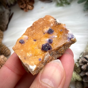 May include: A small piece of raw fluorite with purple crystals embedded in a yellow-brown matrix. The fluorite crystals are sharp and well-defined.