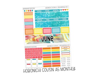 June Ver 2 Hobonichi cousin a5 monthly kit | Hobonichi cousin planner stickers