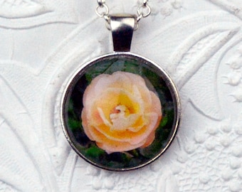 peach rose photo necklace