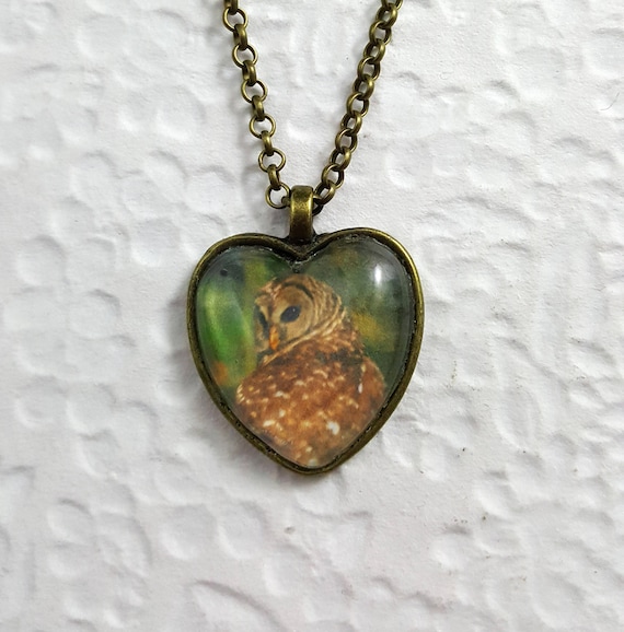 Owl Heart Necklace With Glass Heart Cabochon Nature Jewelry Etsy