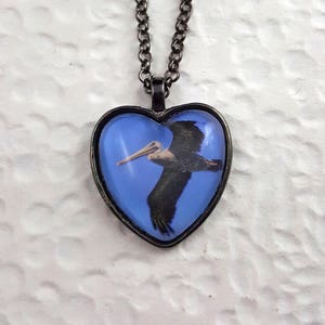 heart-shaped photo pendant with pelican image