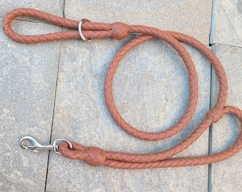 Correa de cuero para perros