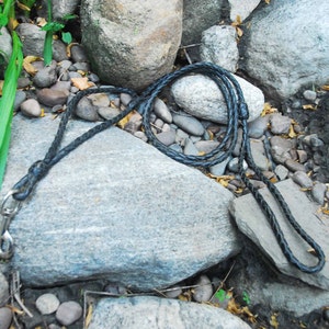 Leather Leash with traffic handle right off collar.