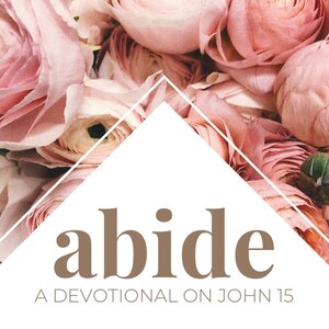 Puede incluir: Un libro devocional titulado "abide" con un fondo floral rosa. El libro es un devocional sobre Juan 15, escrito y diseñado por Erin Blackwell.