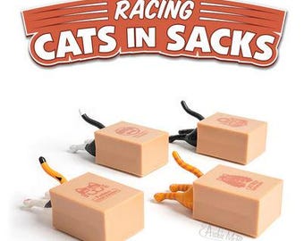 Racing Cat in a Sack