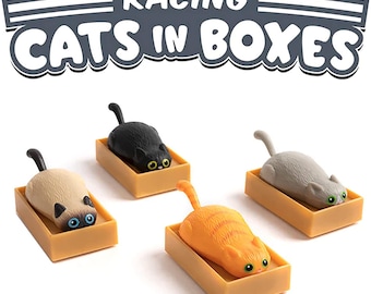 Racing Cat in a Box