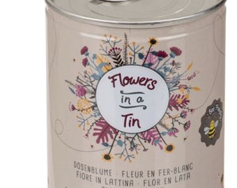 Flowers in a tin - Great stocking Filler