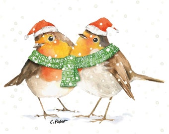 The 2 Robins Design Christmas Napkin Pack.  (20 in a pack)