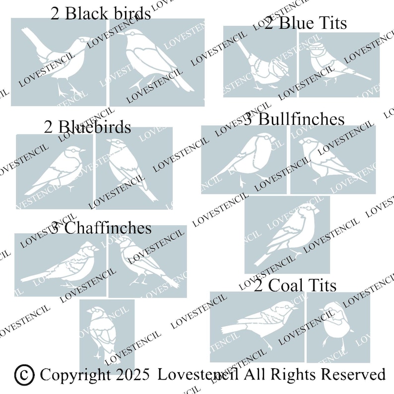 Vogel Haus Zaun/Wand Stencils - Lovestencil - Garten Design Bild 5