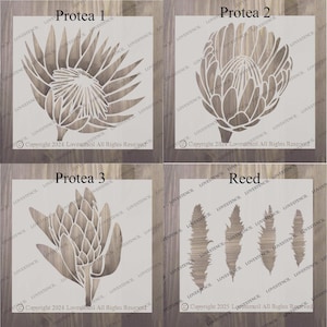 Pochoirs fleurs : orchidée, pivoine, rose, tulipe - Pochoirs artisanaux