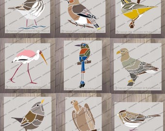 Könnte beinhalten: Neun Vogelschablonen in verschiedenen Posen und Farben, darunter ein Rotkehlchen, ein Wiedehopf und eine Gelbkehl-Waldsänger. Jeder Vogel ist auf einem hellgrauen Hintergrund dargestellt. Die Schablonen sind ideal für Bastel- und Kunstprojekte.