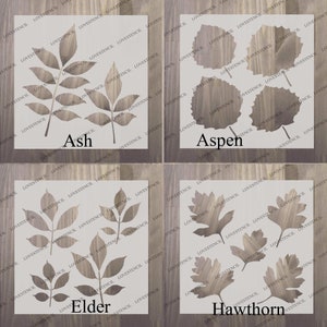 Könnte beinhalten: Vier verschiedene Blattschablonen auf einem Holzgrund. Die Schablonen sind für Eschen-, Espen-, Holunder- und Weißdornblätter. Die Schablonen sind aus einem dünnen Material, wahrscheinlich Plastik, ausgeschnitten und bereit für die Verwendung zum Malen oder für andere Bastelarbeiten.