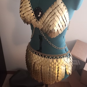 Gold Dragon Scale Mail Armor Bra Skirt