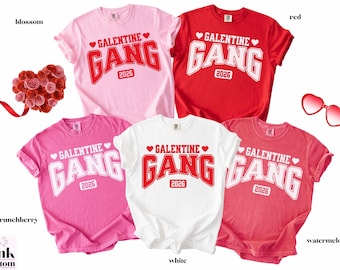 Comfort Colors Galentine Gang Shirt 2026, Galentines Day Party Shirts, Funny Galentine Brunch Tees, matching Besties Galentine's Outfits