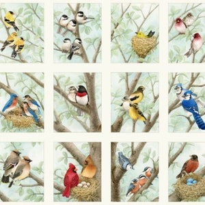 Birds Stoffpanel in Creme von Wunderschönen Vogel von Tracy Lizotte für Elizabeths Studio - 4309E-CREAM - 12 oder 24 Blöcke