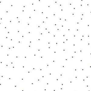 White/Blue Pin Dot Cotton Fabric by Lori Holt - Riley Blake #C705-DENIM - Continuous 1/2 Yard