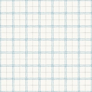 Könnte beinhalten: Ein weißer Stoff mit einem blau-weiß karierten Muster. Der Stoff hat eine subtile Textur und ist perfekt zum Quilten, Nähen oder Basteln.