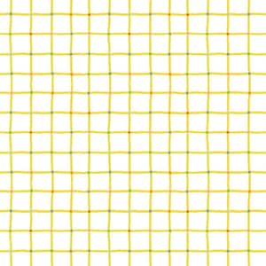 Picnic Plaid White Quilt Cotton Fabric from 100 Aker Woods by Jill Howarth for Riley Blake Designs #C15176-WHITE - Continuous 1/2 Yard