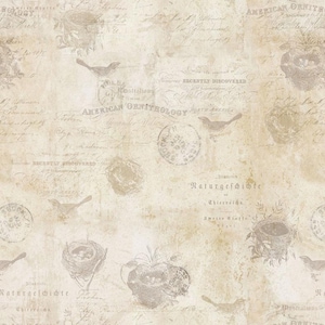 Puede incluir: Un patrón de estilo vintage con tonos beige descoloridos y motivos repetidos. El diseño incluye ilustraciones de pájaros, nidos, sellos y texto manuscrito, creando una estética envejecida. Las palabras "AMERICAN ORNITHOLOGY" son visibles.
