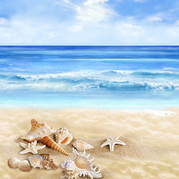Beach Comber Panel with Sea Shells Quilt Cotton Fabric Panel from Timeless Treasures - CD2533-MULTI - 24" x 44" Ocean Fabric Panel