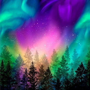 Northern Lights Quilting Cotton Fabric Panel from Aurora by Timeless Treasures Collection - C8456-MULTI - 24&quot; x 44&quot; Panel