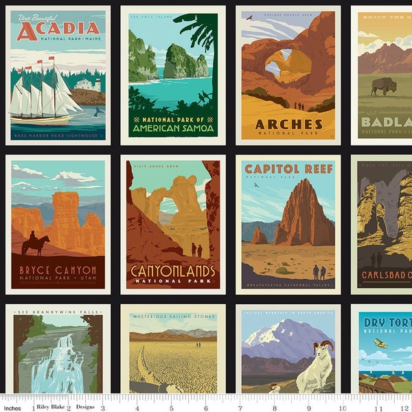 National Parks Posters Black Quilt Cotton Fabric Panel by Anderson Design Group - Riley Blake Designs - C8780-BLACK - 24" x 43" Fabric Panel