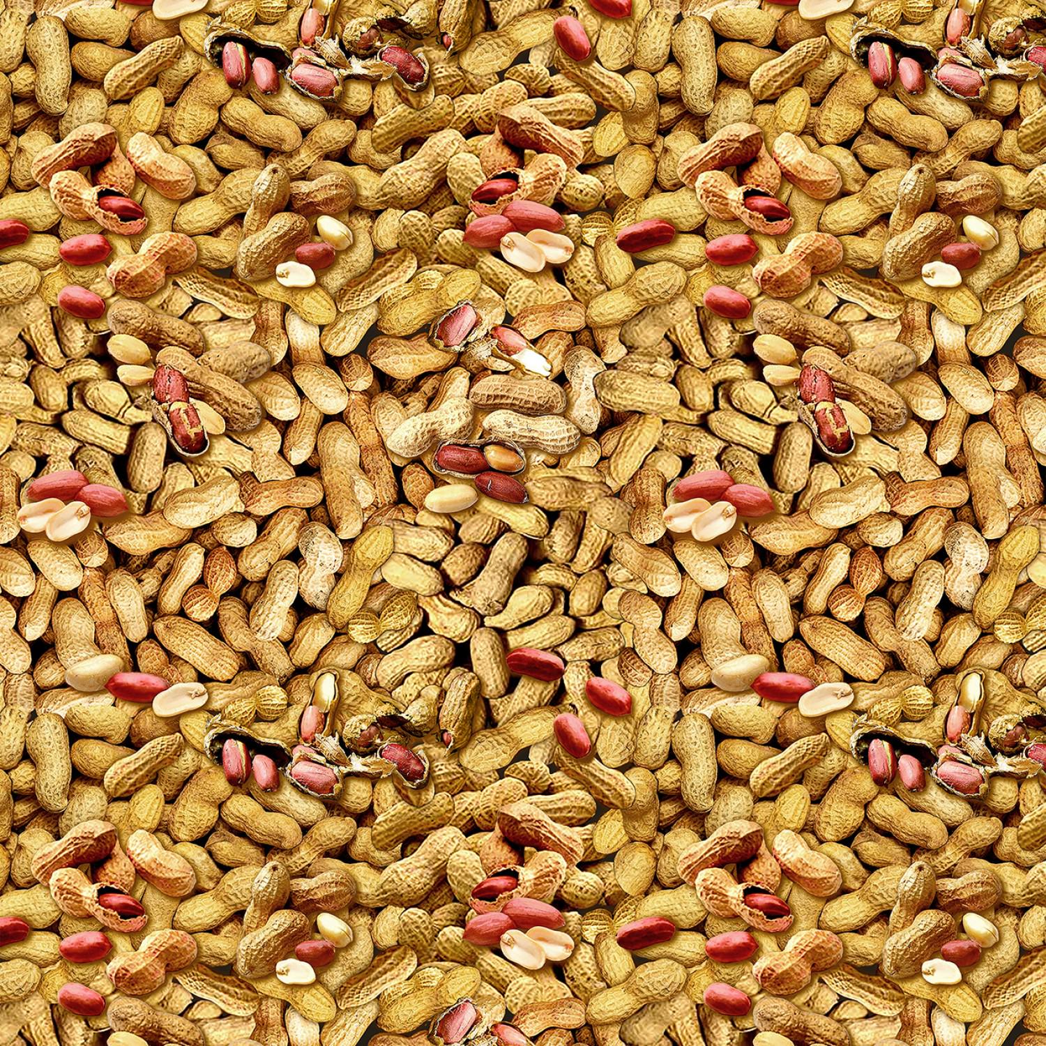 Natural In Shell Peanuts Food Quilt Cotton Fabric from Ale House by Kanvas Studio Collection for Benartex #12749B-70 - Continuous 1/2 Yard