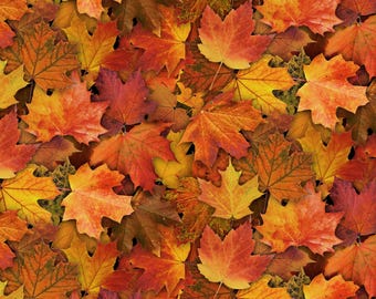 Autumn Fall Oak Leaves Cotton Fabric - Elizabeth's Studio #715E-GOLD - Continuous 1/2 Yard