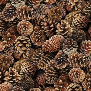 May include: A close-up image showcases a dense collection of brown pine cones. The cones vary in size and shape, with open and closed structures. The color palette ranges from light tan to deep brown, creating a textured, natural pattern. The image evokes a sense of autumn and the outdoors.