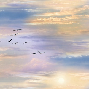 Clouded Sky and Birds Quilt Cotton Fabric from Landscape Medley Collection by Elizabeth&#39;s Studio - 5016E-MLT - Continuous 1/2 Yard