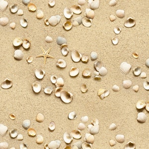 Pode incluir: Um close-up de uma praia de areia com uma variedade de conchas espalhadas pela superfície. As conchas são de vários formatos e tamanhos, algumas com um acabamento branco perolado e outras com uma cor bege mais natural. Uma única estrela do mar é visível no centro da imagem.