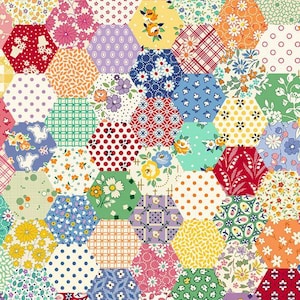 Aunt Grace Goes Scrappy Hexagon Cheater Print Bomullstyg - Marcus Fabrics #R351524D-MULTI - Kontinuerligt 1/2 Yard