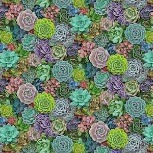 May include: A vibrant, colorful pattern of various succulents. The image showcases a dense arrangement of green, teal, purple, and pink succulents, creating a textured and visually appealing design. The succulents are in full bloom, with detailed textures.