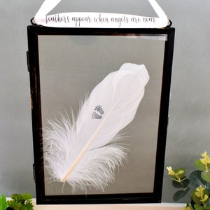 Baby Feet on Real White Feather. Framed Memorial Decor. Stillborn Miscarriage Baby Remembrance. Son Daughter Newborn Loss. Glass Frame